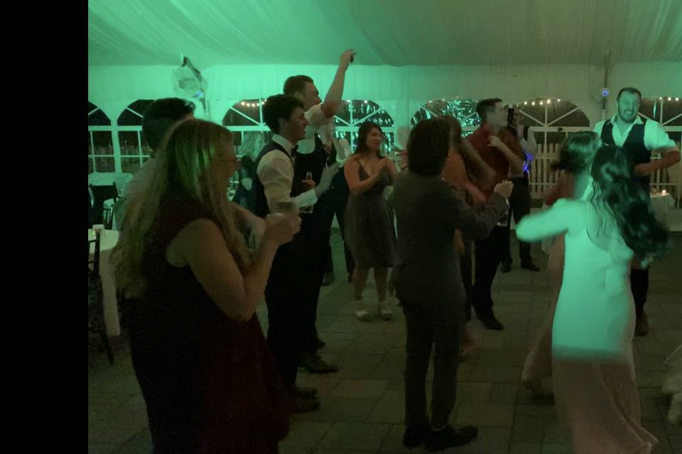 Wedding Fun