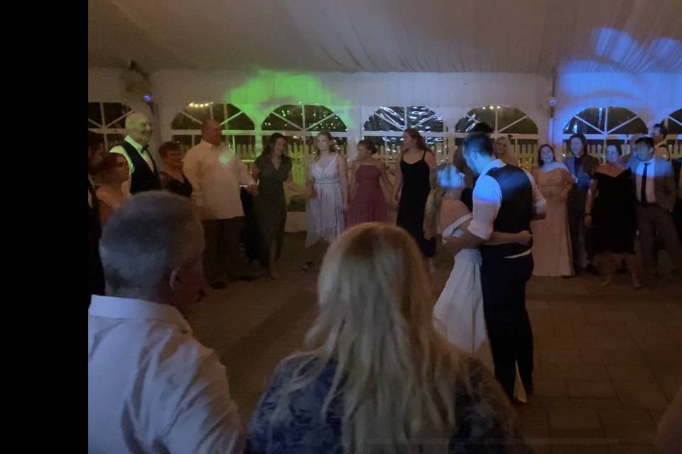 Wedding Fun