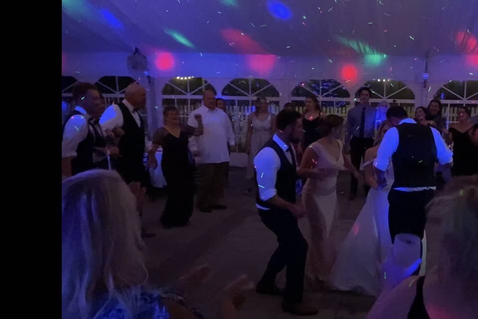 Wedding Fun