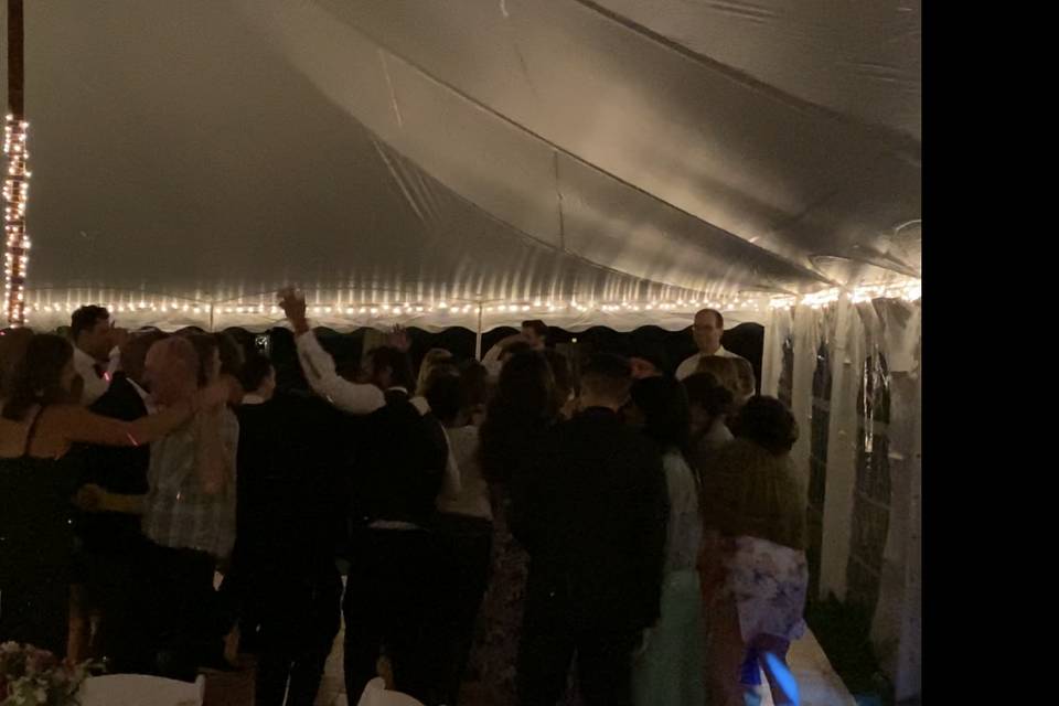 Wedding Fun