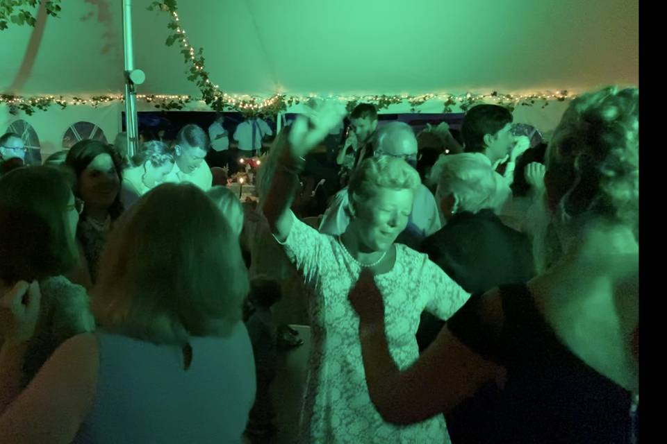 Wedding Fun