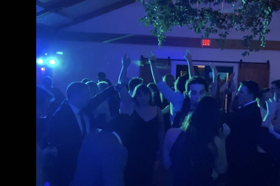 Wedding Fun