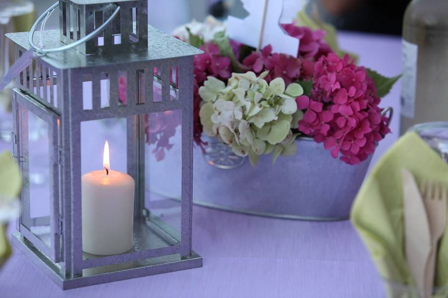 Hortensia and candle