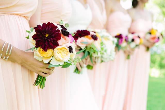 Cari Wible Photography