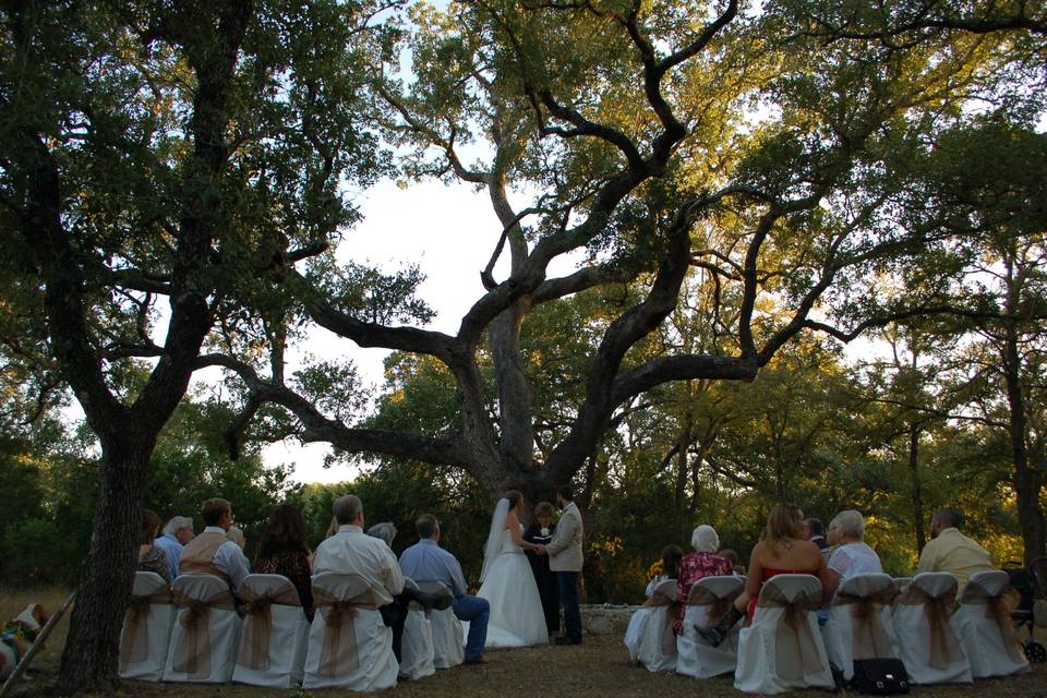 Twelve Oaks-Hill Country Inn