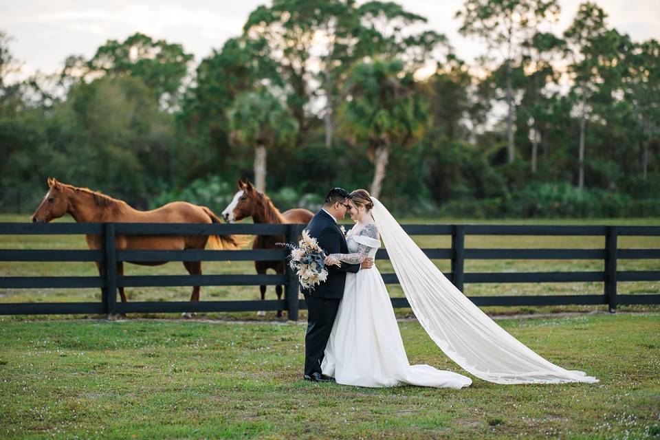 Gorgeous Horse Ranch