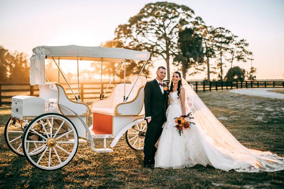 Carriage