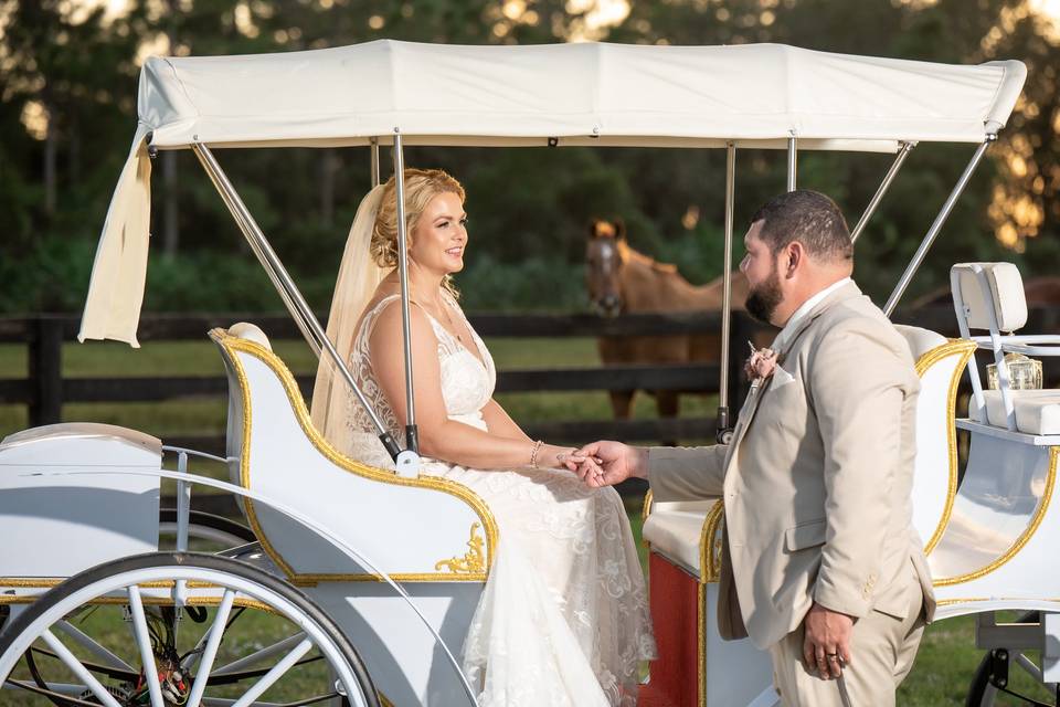Carriage