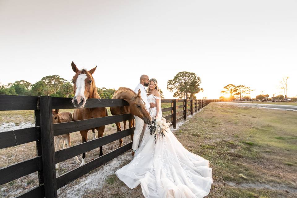 Horses