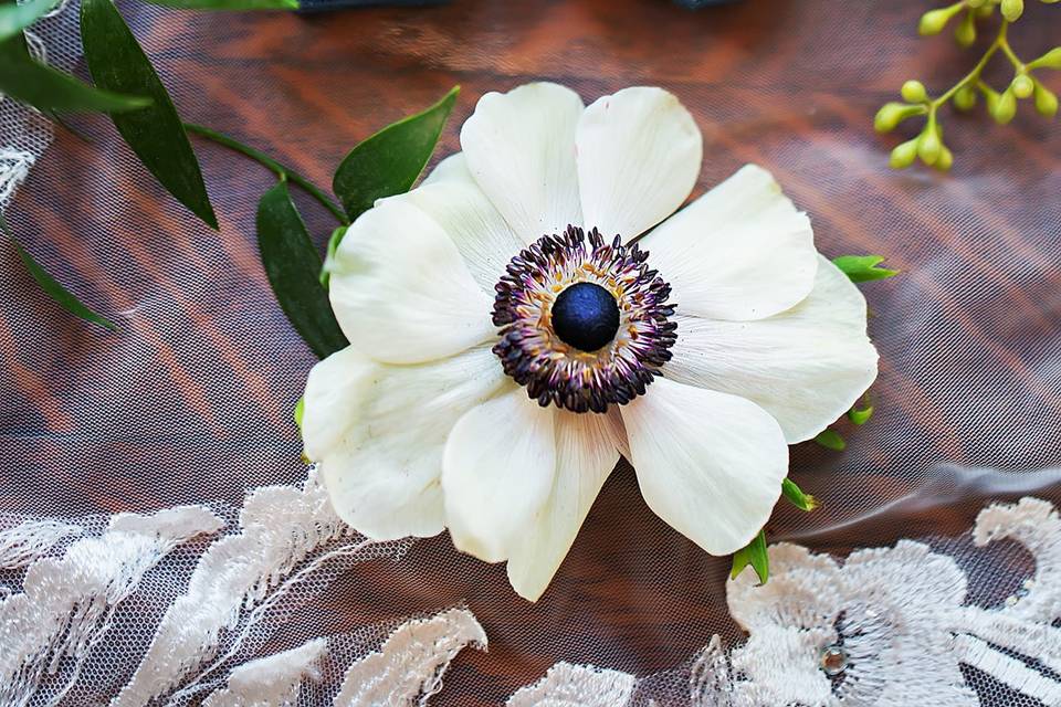 Flat Lay Photgraphy flowers