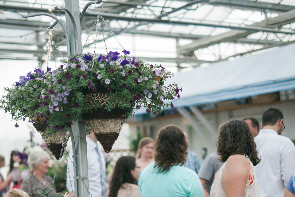 Buchwalter Greenhouse