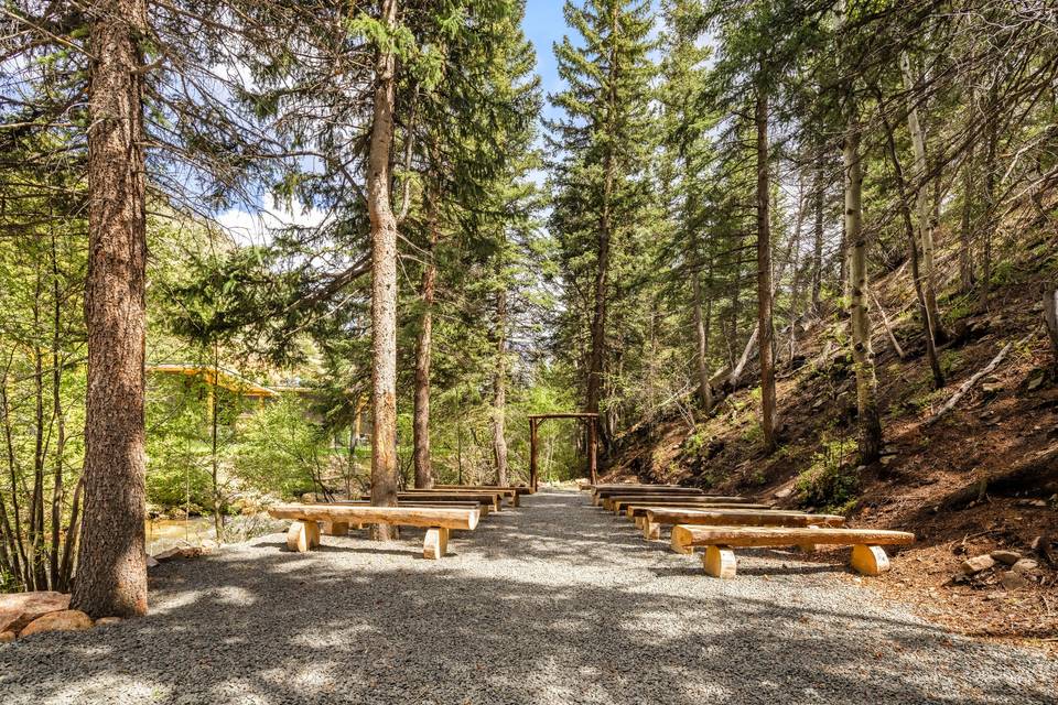 Tall tress surround ceremony