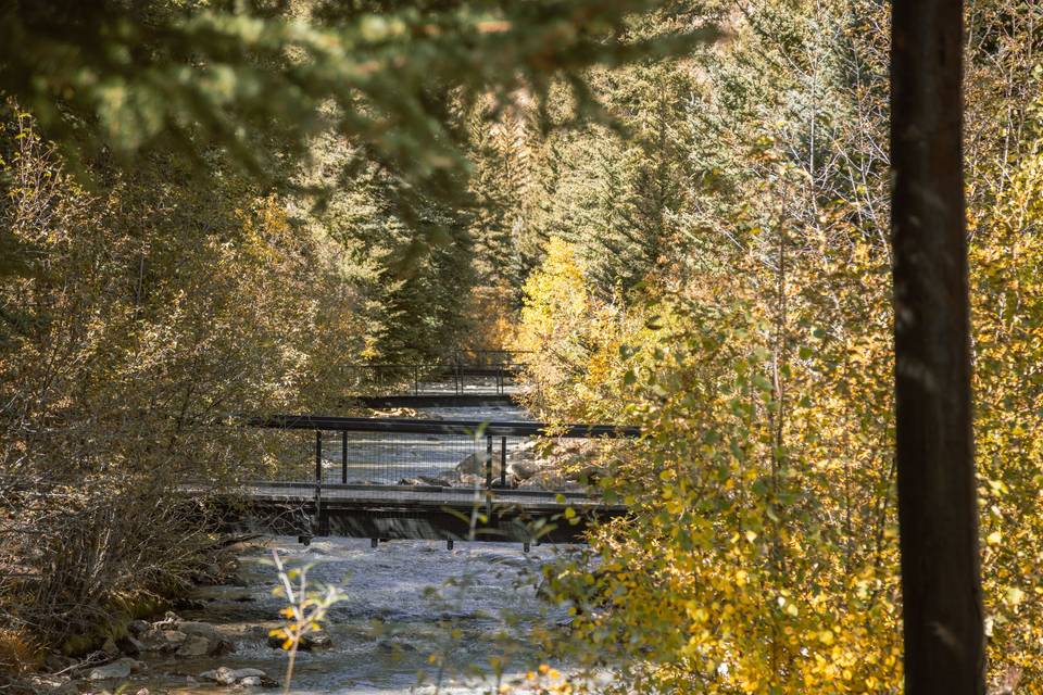 Amazing fall colors