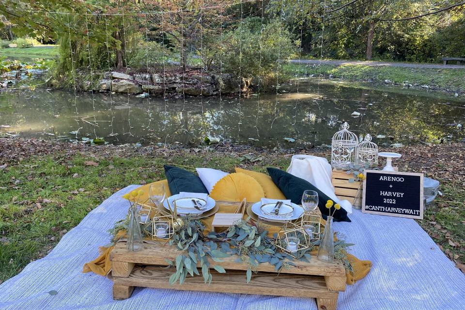 Luxury Picnic