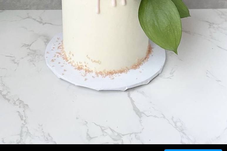 Elopement Cake