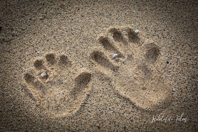 Kohalafoto Photography