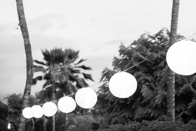 Maui Event Planning