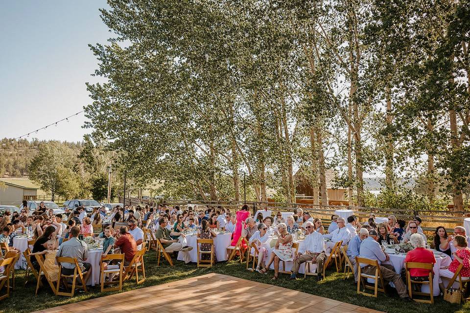 Barn lawn