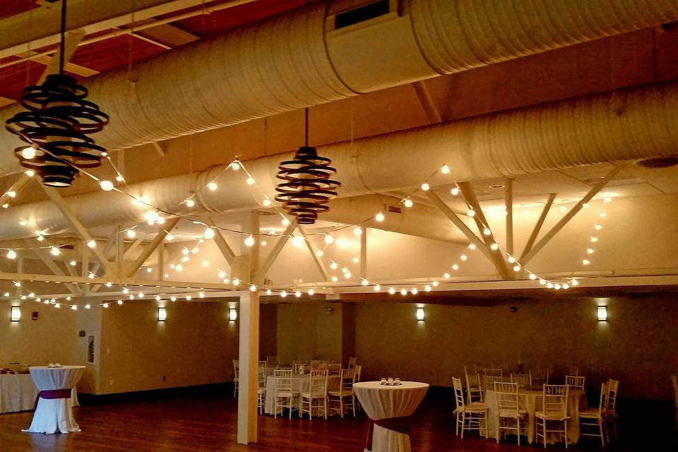 Reception lights