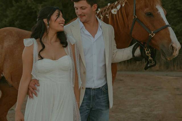 Romantic horse pictures