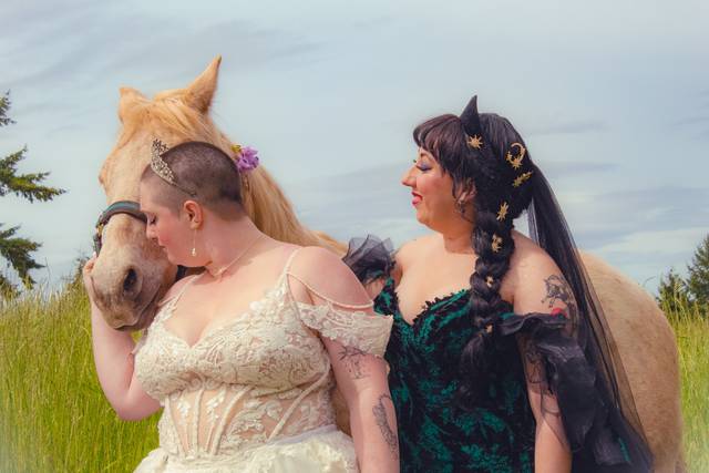 Very patient horses for photos