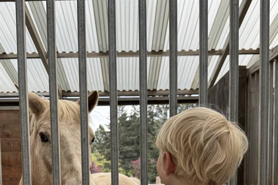Kid friendly