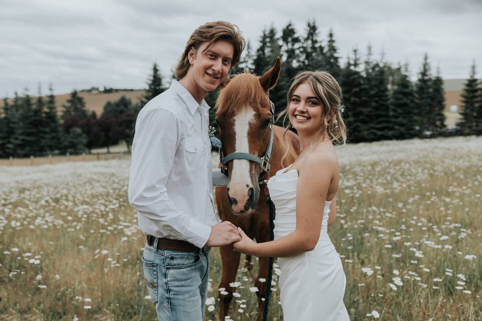 Pictures with lovely horses