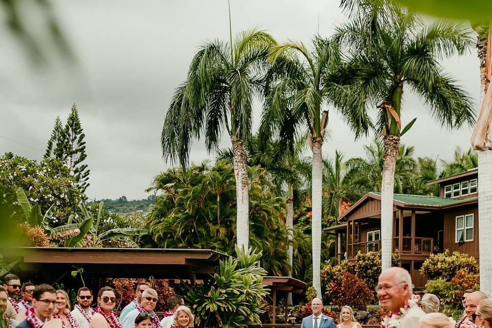 Bride Walking Down Isle