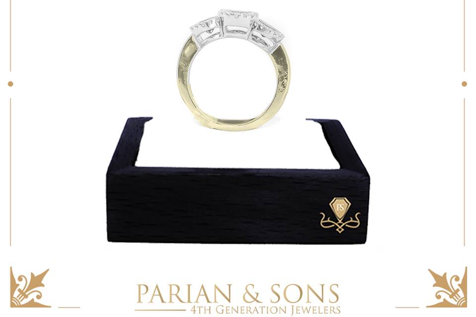 Parian & Sons 4th generation