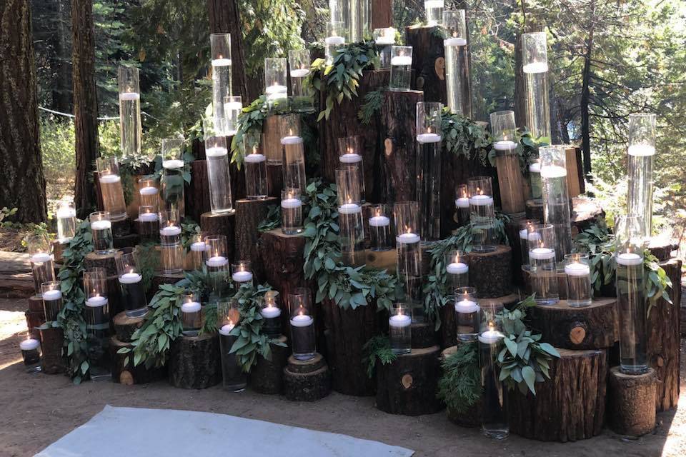 Enchanted forest