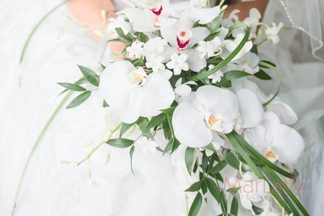 Outdoor ceremony