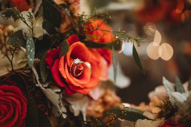 Kathy Izzy Photography