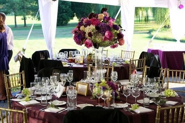 Ebb Tide Tent & Party Rentals