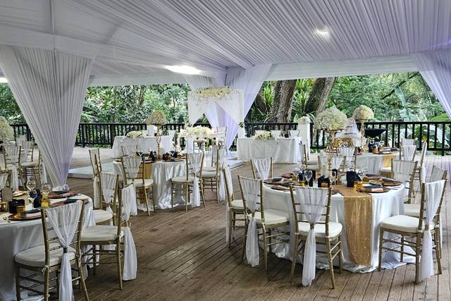 Reception with Ceiling Draping