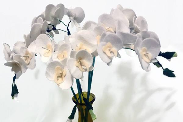 White orchid stems in a vase