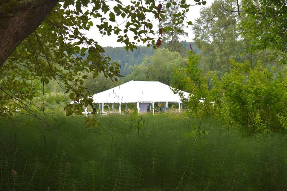 60 x 40 Tent