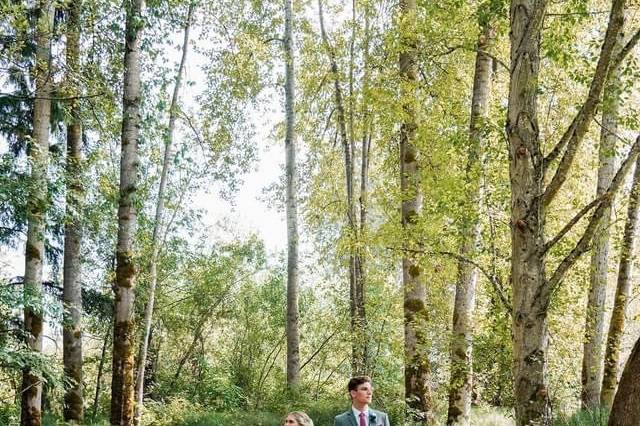 Meadow in the woods