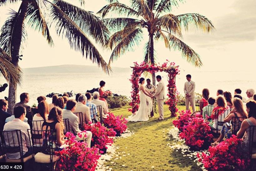 A tropical wedding