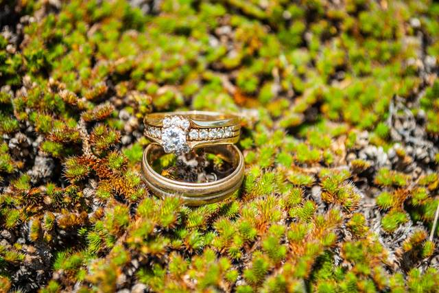 Wedding rings on moss