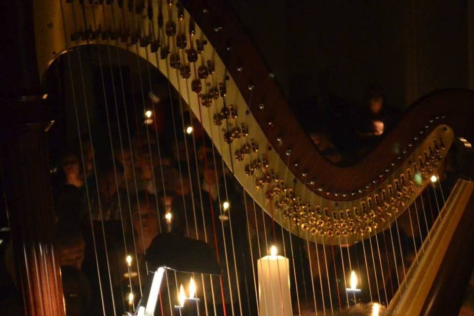 Emily Klein, Harp