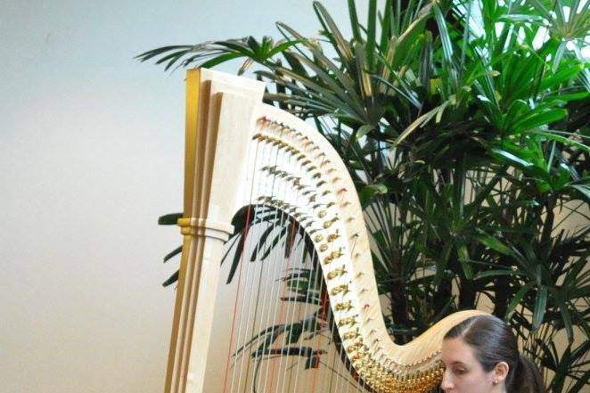 Emily Klein, Harp