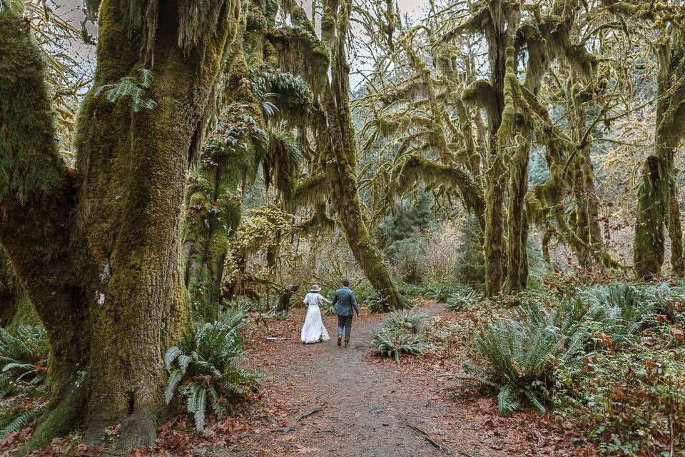 Olympic National Park