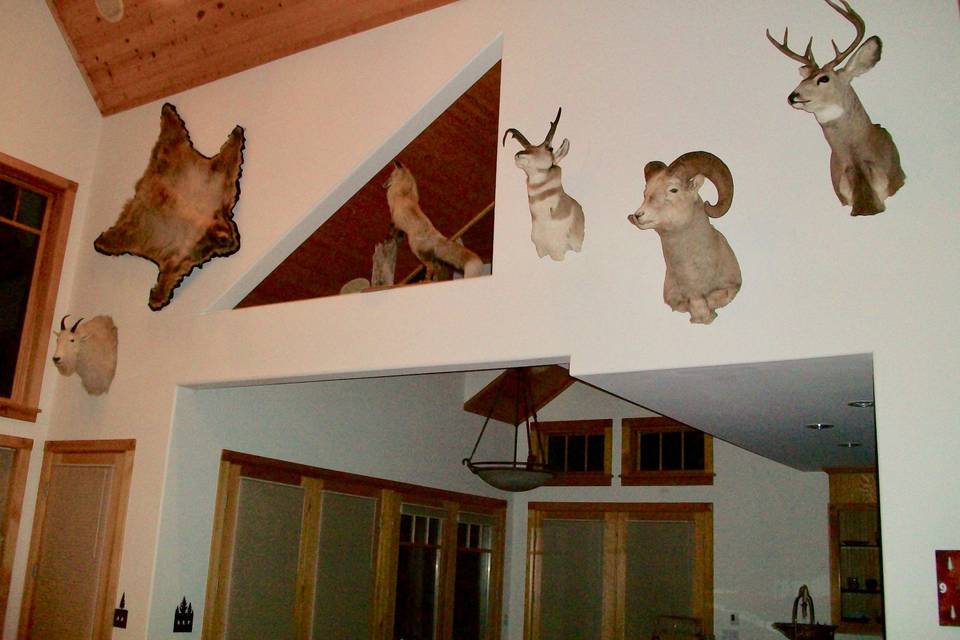 Mounts in the Great Room