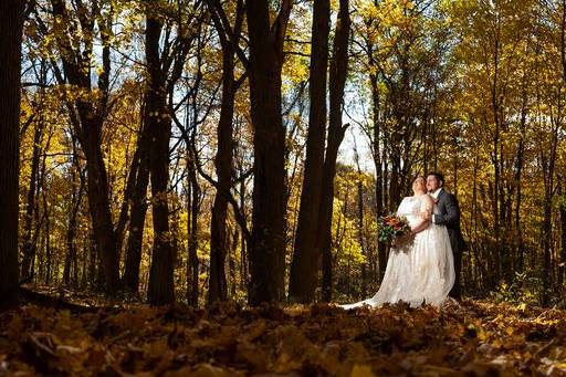 The forest in Fall