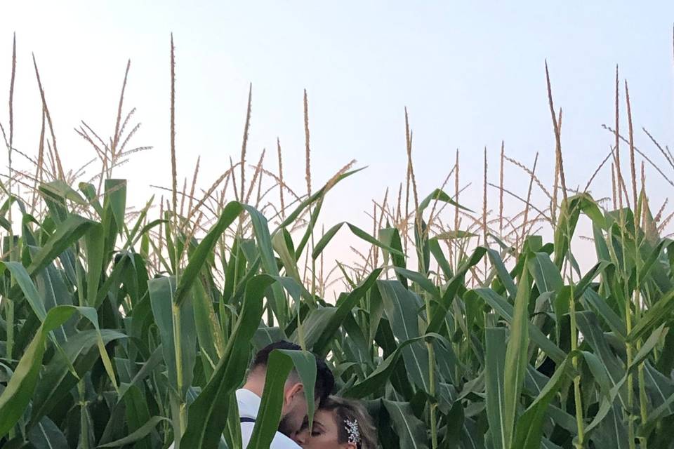 Oh the corn field!