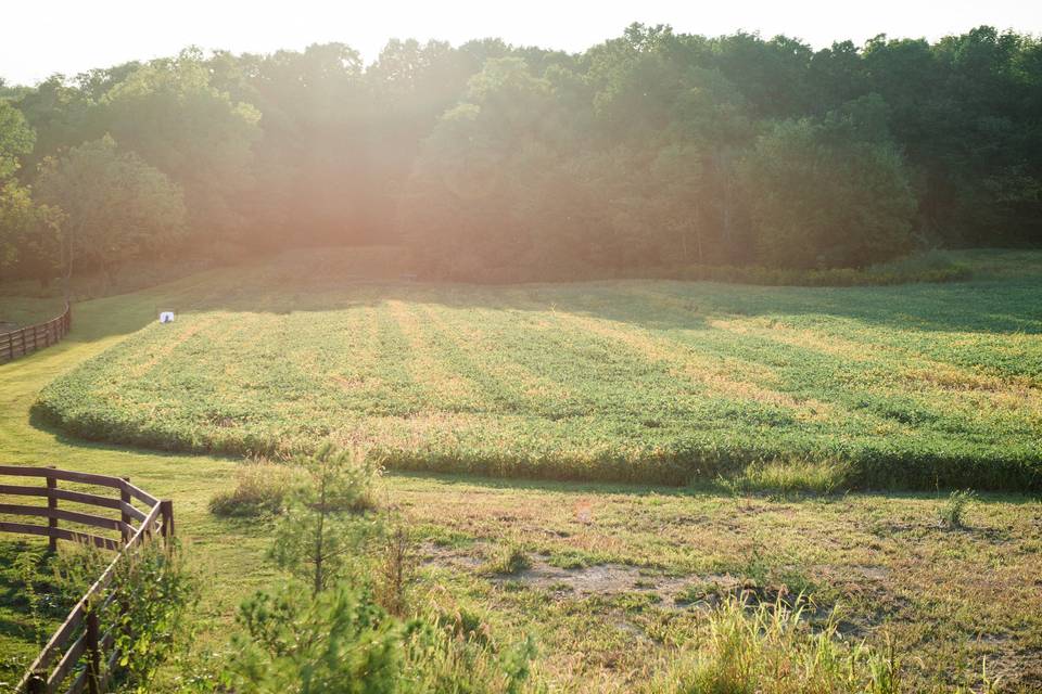 Peacock Ridge