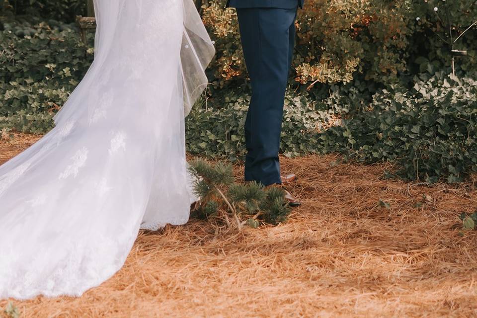 First Look