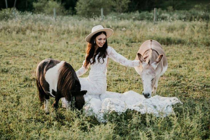 Bride with donkeys