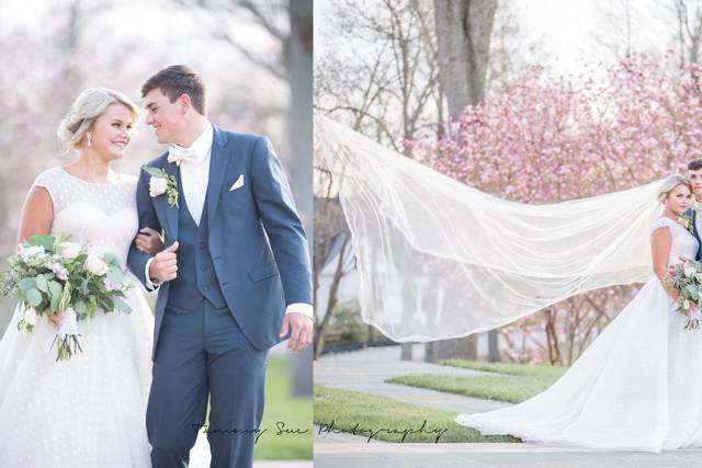 Tammy Sue Photography