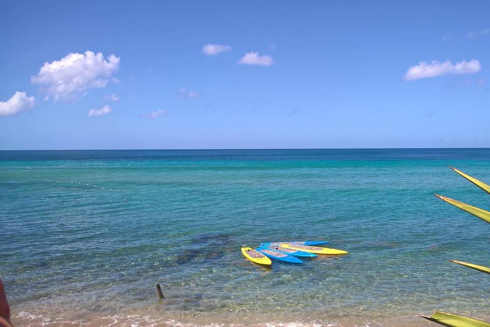 St Kitts paddle boarding excursion